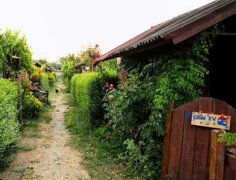 Haflinger Çiftliği Hobi Bahçesi