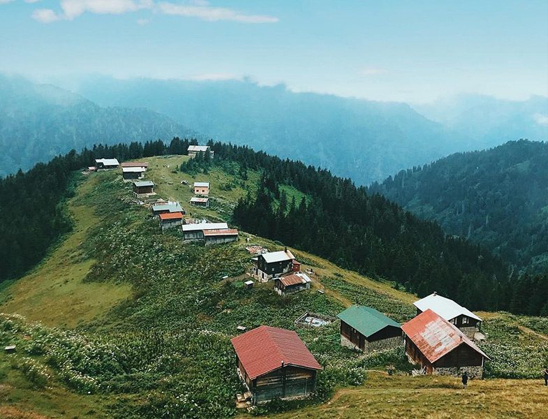 Pokut Yaylası Rize