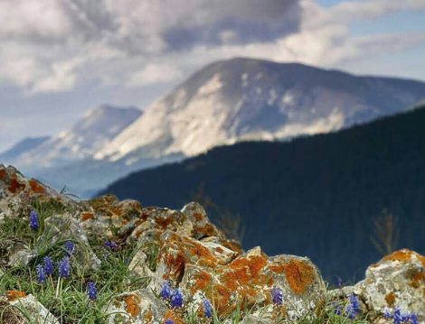 Ilgaz Dağı Çankırı