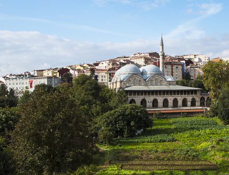 Piyalepaşa Camii Bostanı