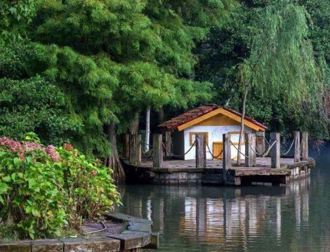 Atatürk Arboretumu