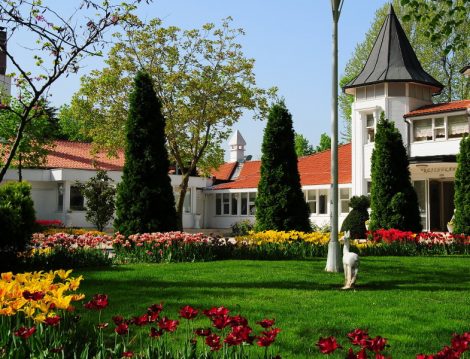 Beykoz Korusu Lale Bahçeleri