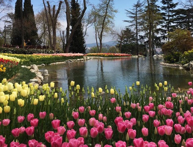 Emirgan Korusu Lale Bahçeleri ve Gölet