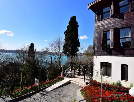 Fethipaşa Korusu Lale Bahçeleri ve Deniz Manzarası