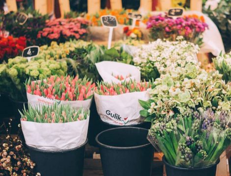 Floralfest Ankara Çiçek Festivali