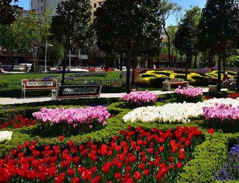 Göztepe 60. Yıl Parkı Lale Bahçeleri