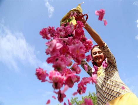 Isparta Gül Hasadı Şenlikleri