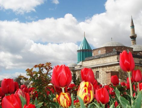 Konya Çumra Lale Festivali