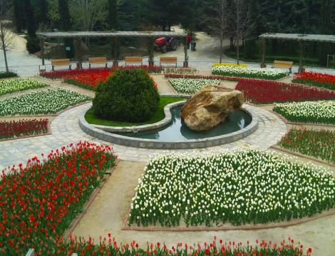 Nezahat Gökyiğit Botanik Bahçesi