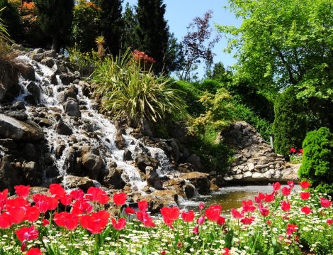 Pendik Gözdağı Korusu Yapay Şelale ve Laleler