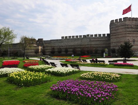 Soğanlı Bitkiler Parkı Lale Bahçeleri