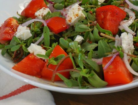 Peynirli Semizotu Salatası Tarifi