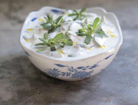 Semizotu Salatası Tarifleri