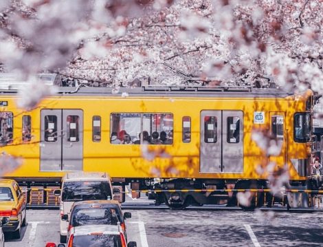 Japonya Metro ve Ulaşım