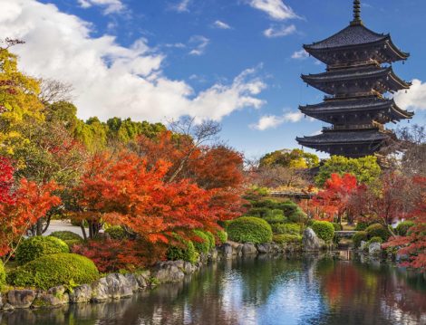 Muhafazakar Kültür Turları Japonya Turu