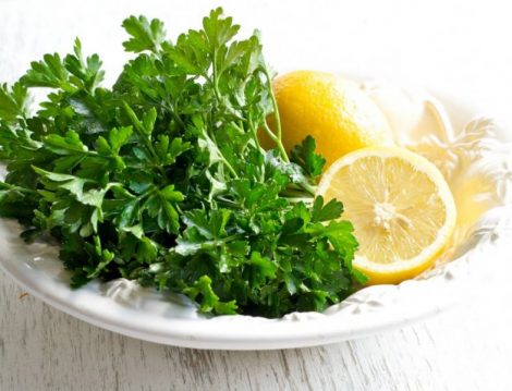 Maydanoz Limon