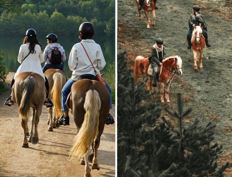 Tabiat Binicilik Merkezi Atlı Orman Gezisi