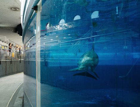National Aquarium