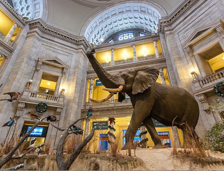 National Museum