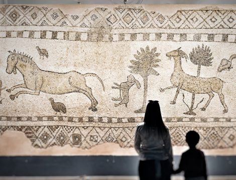 Zeugma Müzesi
