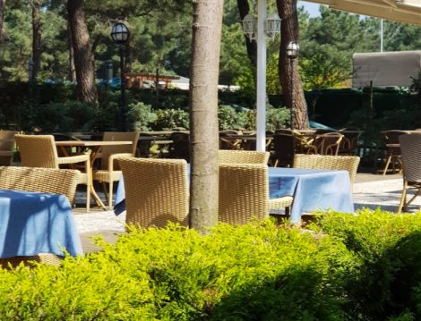 Orman Cafe ve Restoran