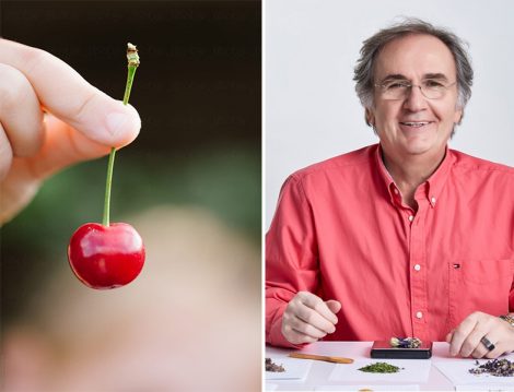 Prof. Dr. İbrahim Saraçoğlu Kiraz Sapı Çayı