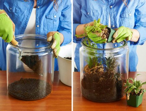 Kendin Yap Terrarium Hazırlama Projesi