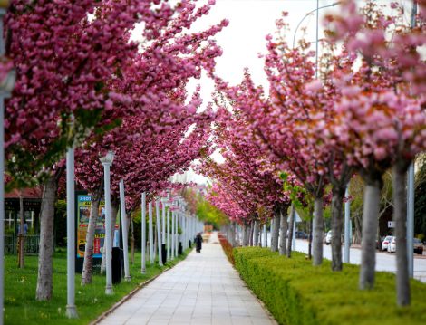 İstanbul Parkları