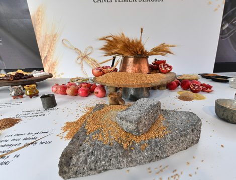 Canlı Yemek Sergisi