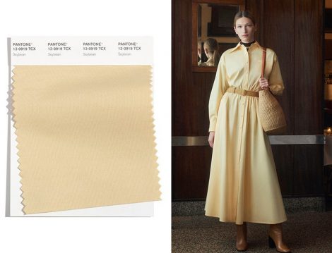 Soya Fasulyesi (Soybean) - Tory Burch Elbise