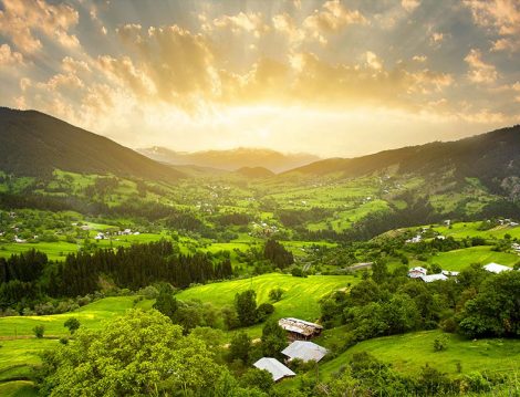 Yayla Tatili