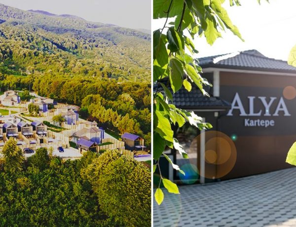 Alya Kartepe