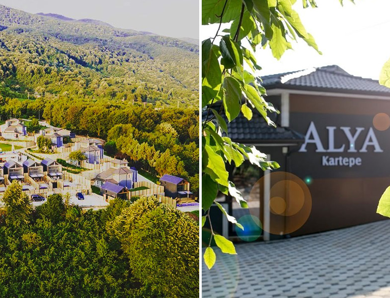 Alya Kartepe