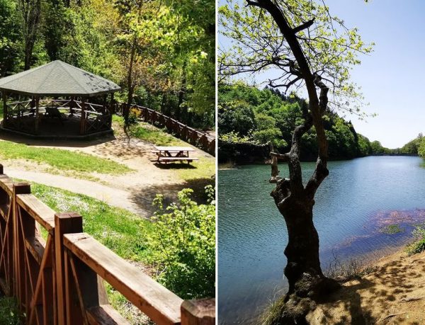 Belgrad Ormanı Mesire Alanı