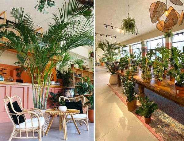 Botanic Sera Yalova