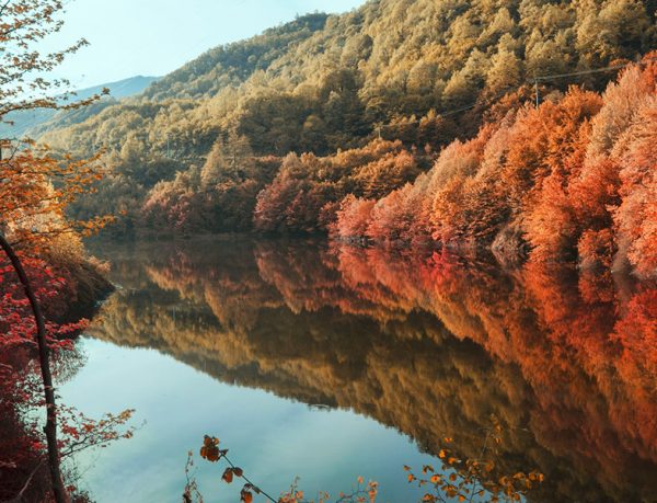 Yuvacık