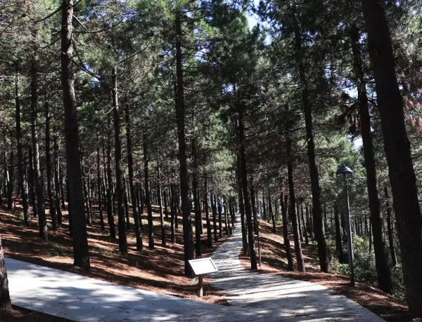 Karlıtepe Mesire Alanı Yürüyüş Parkuru