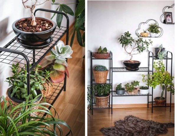 Vivense Metal Raflı Saksılıklar