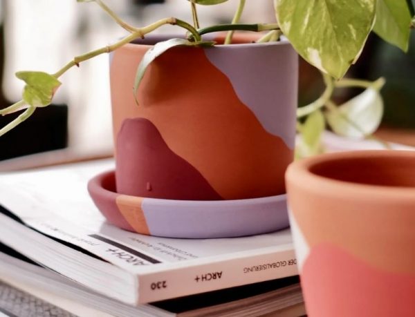 Vivense Terracotta Saksı