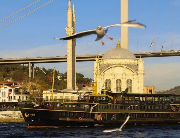 Bodo Deneyim Hediyesi 